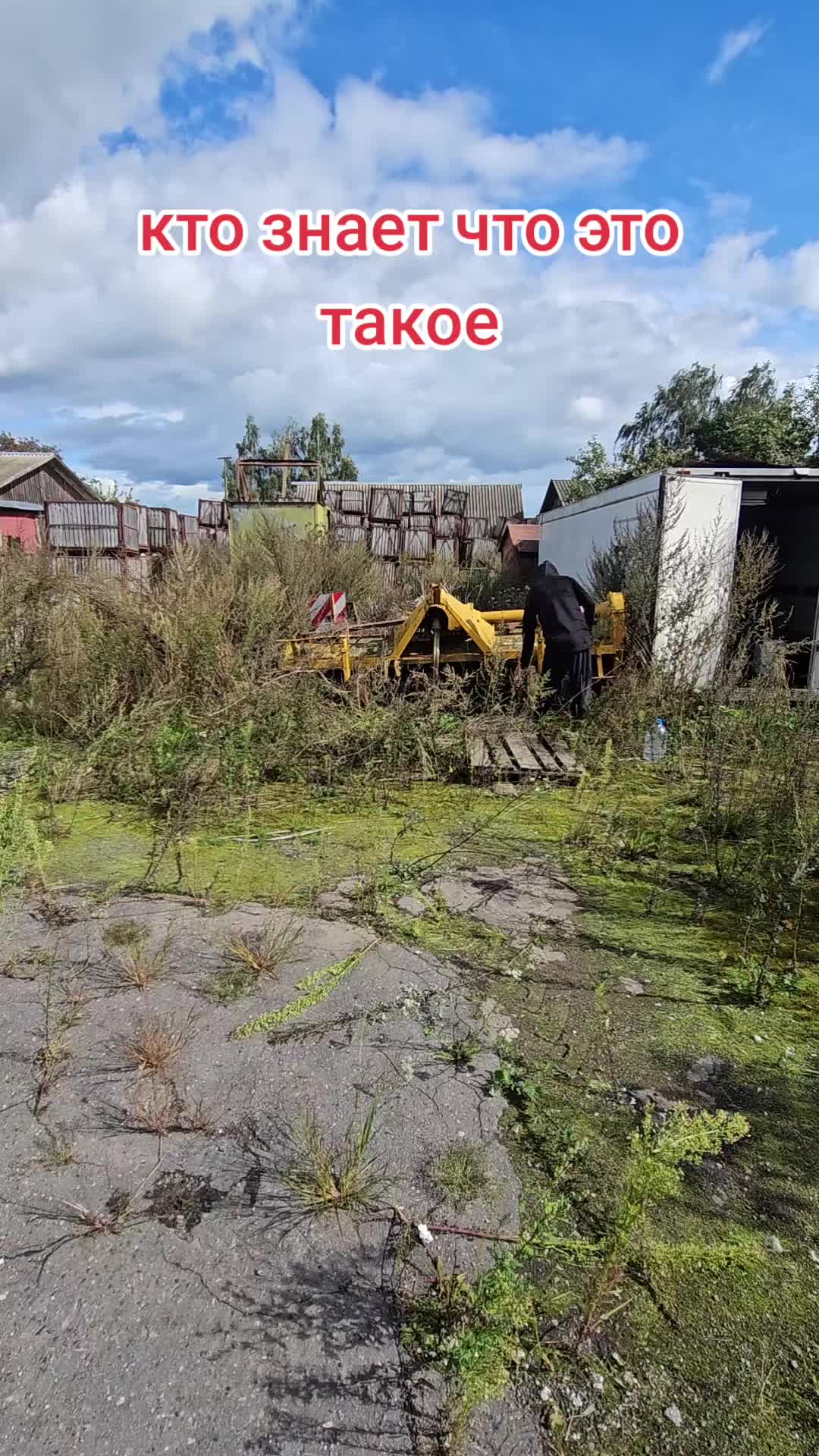 @виталя фартовый