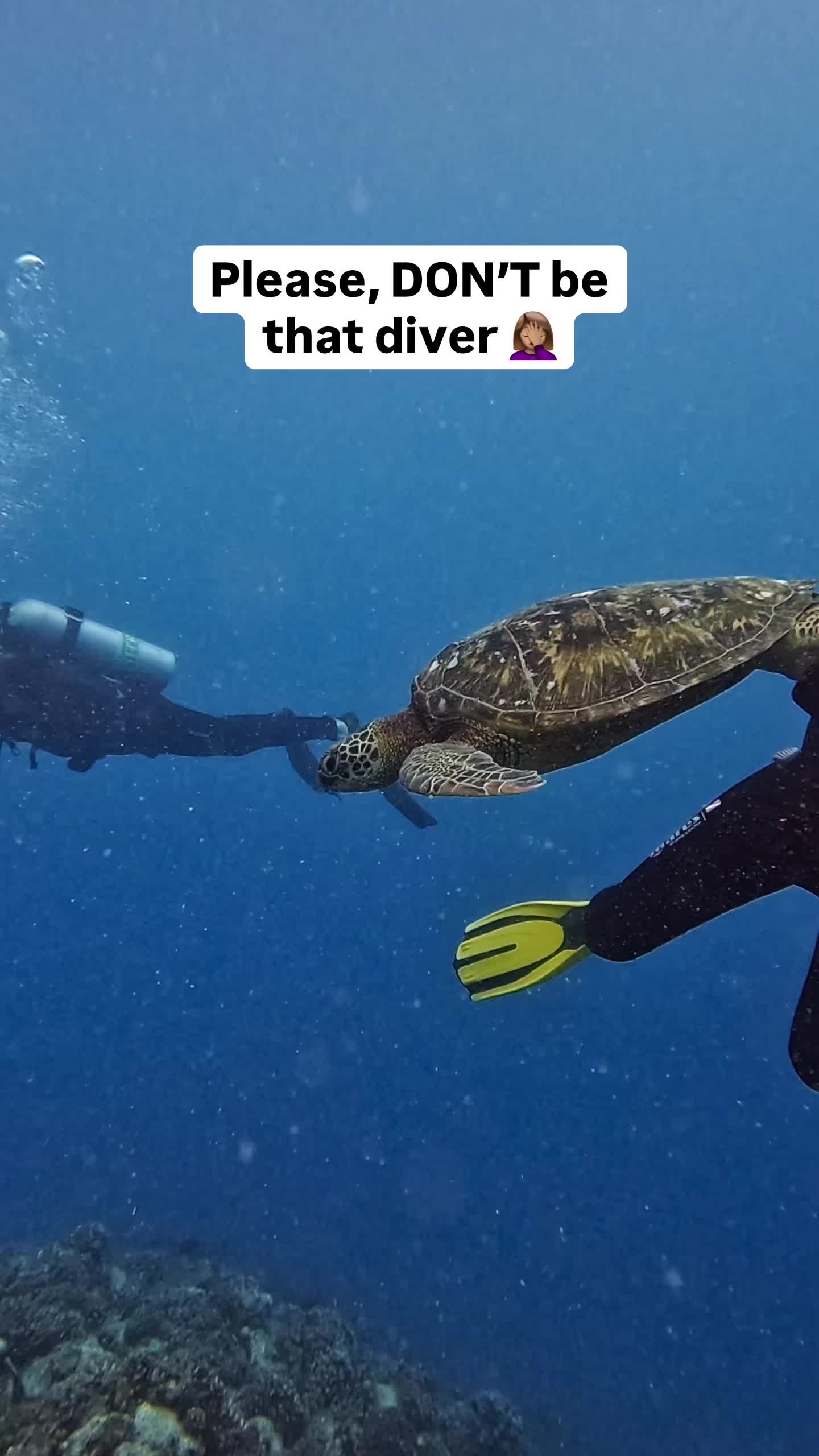 @The Dive Compass