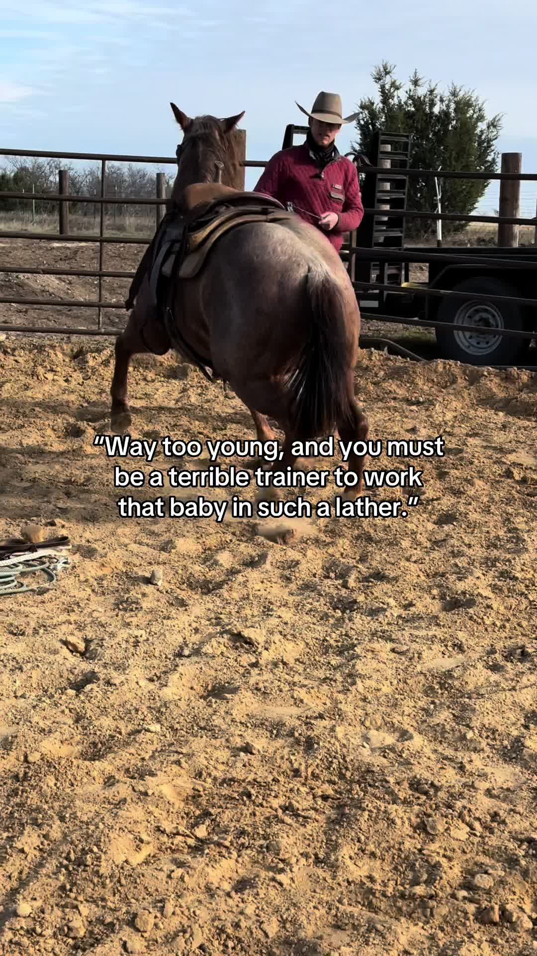 @Clinch Colt Co