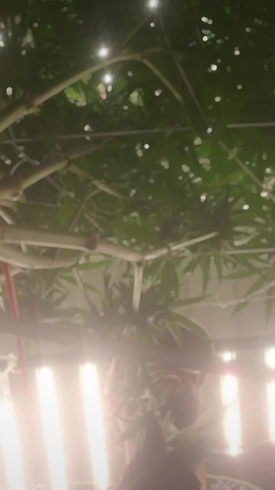 @222