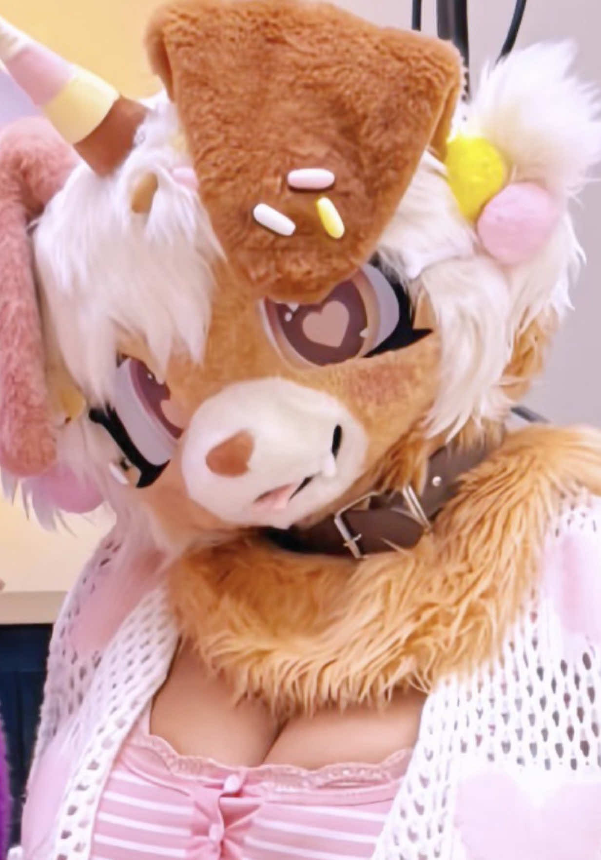 @๐ฆด๐พ๐ฎ๐ shy ๐๐ฎ๐พ๐ฆด