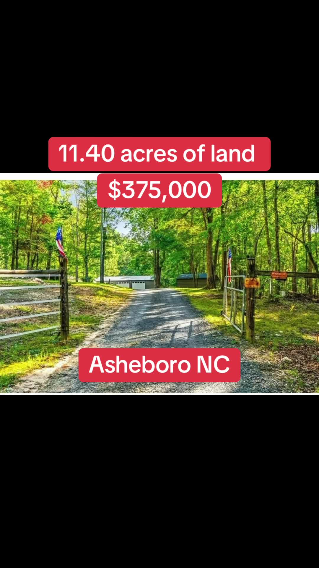 @🥇 Haydee Trejo | NC Realtor