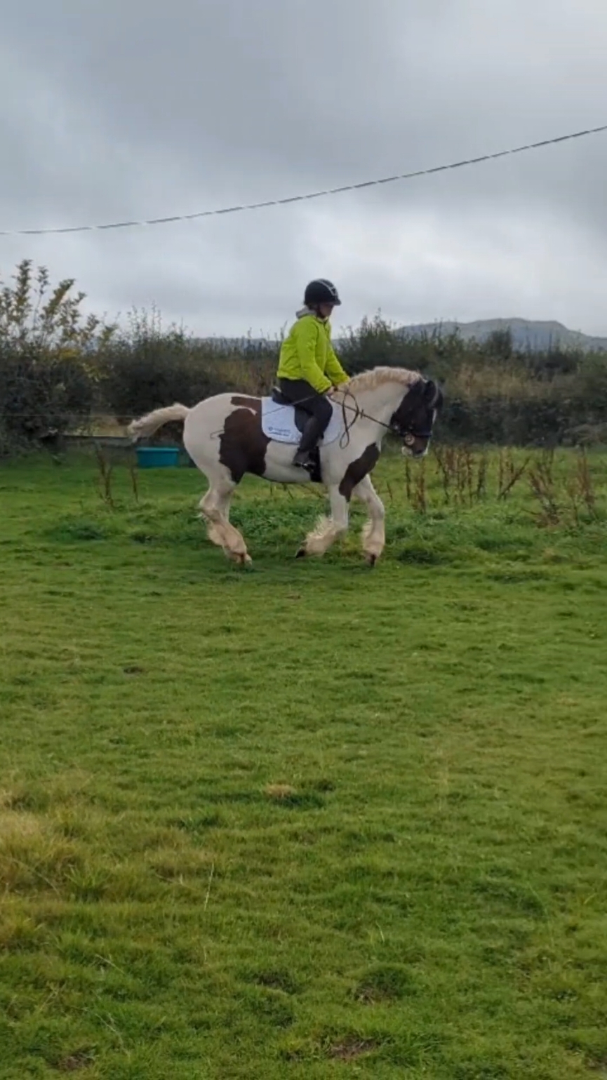 @Lilywiththecobs🐴