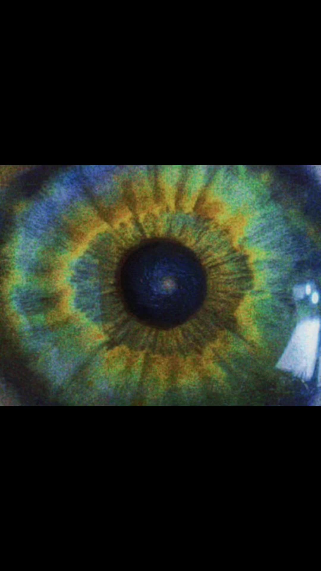 @✰