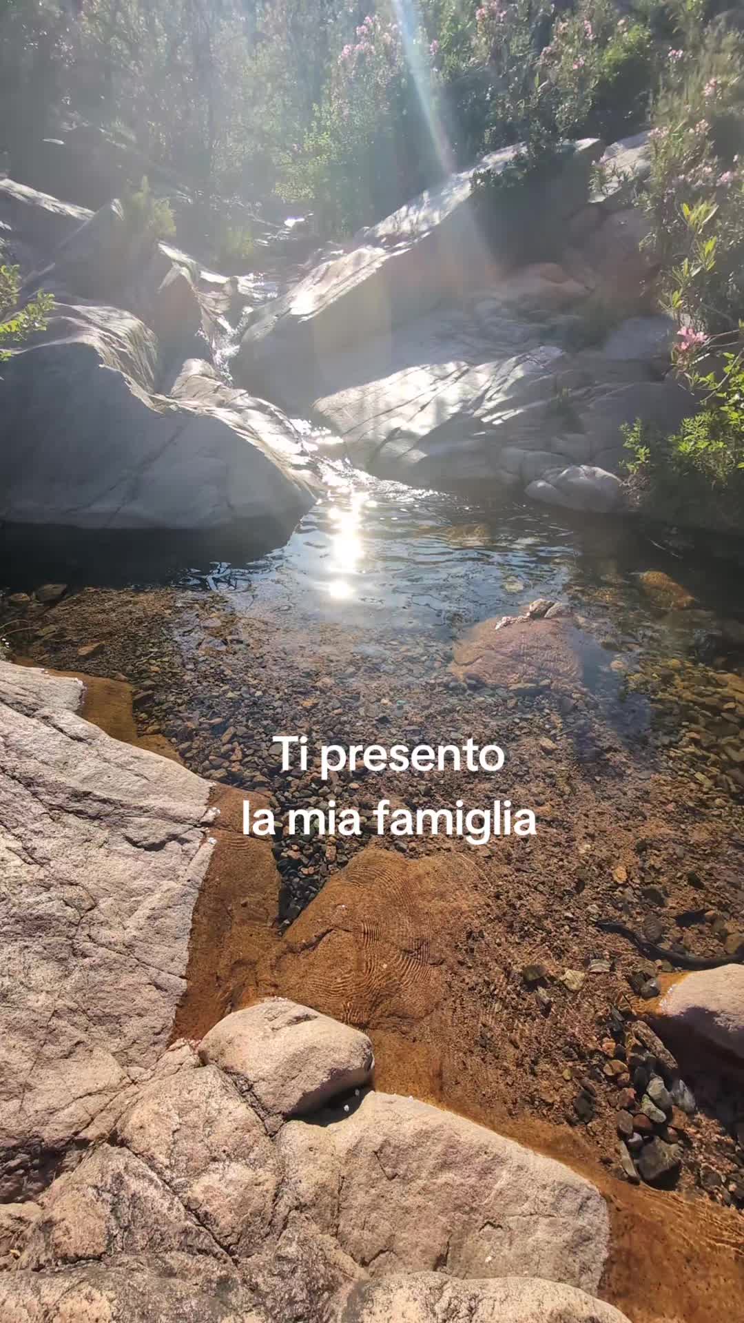 @Stefania Lai