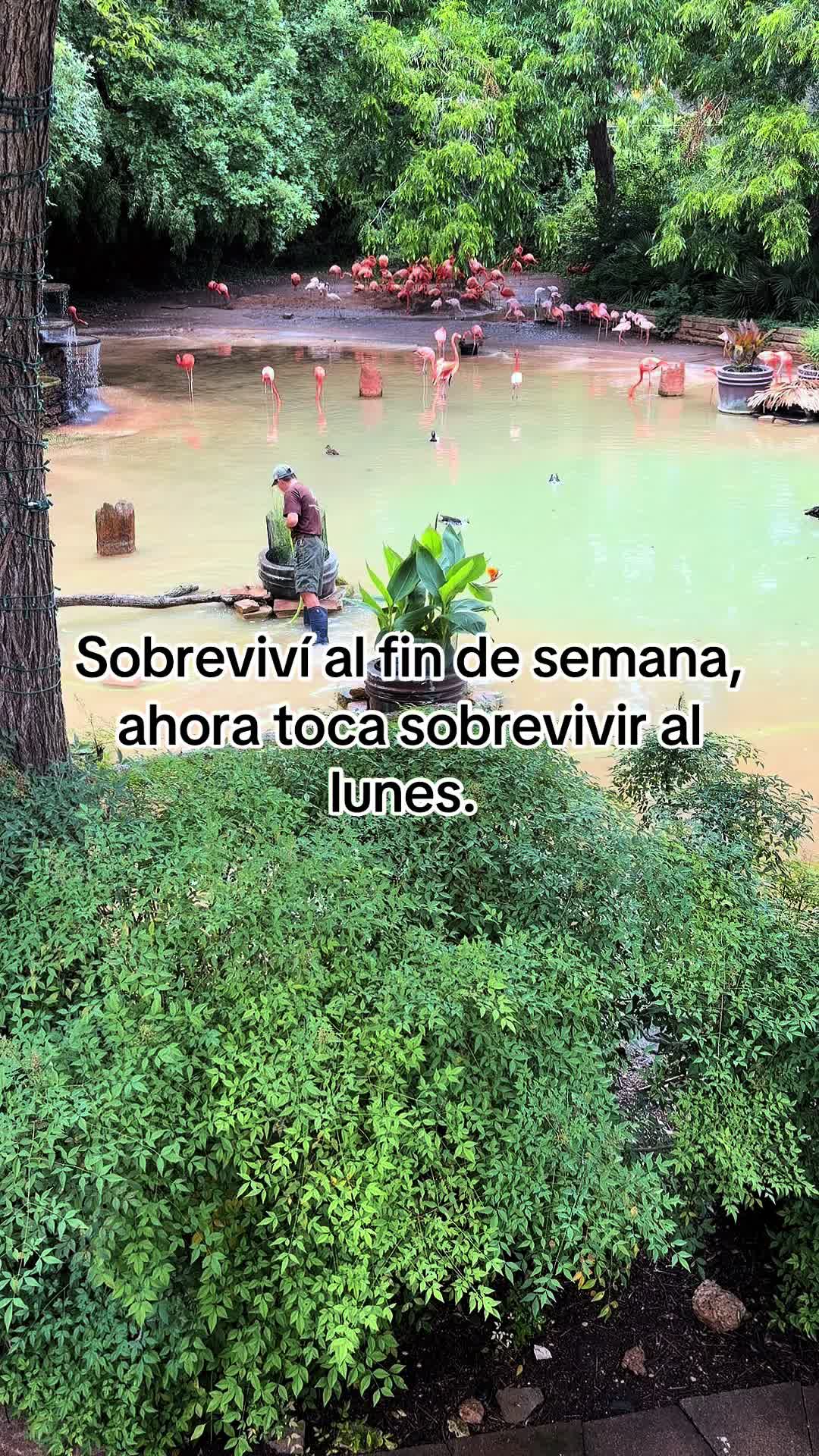 @Liiz🦋🤍🙏