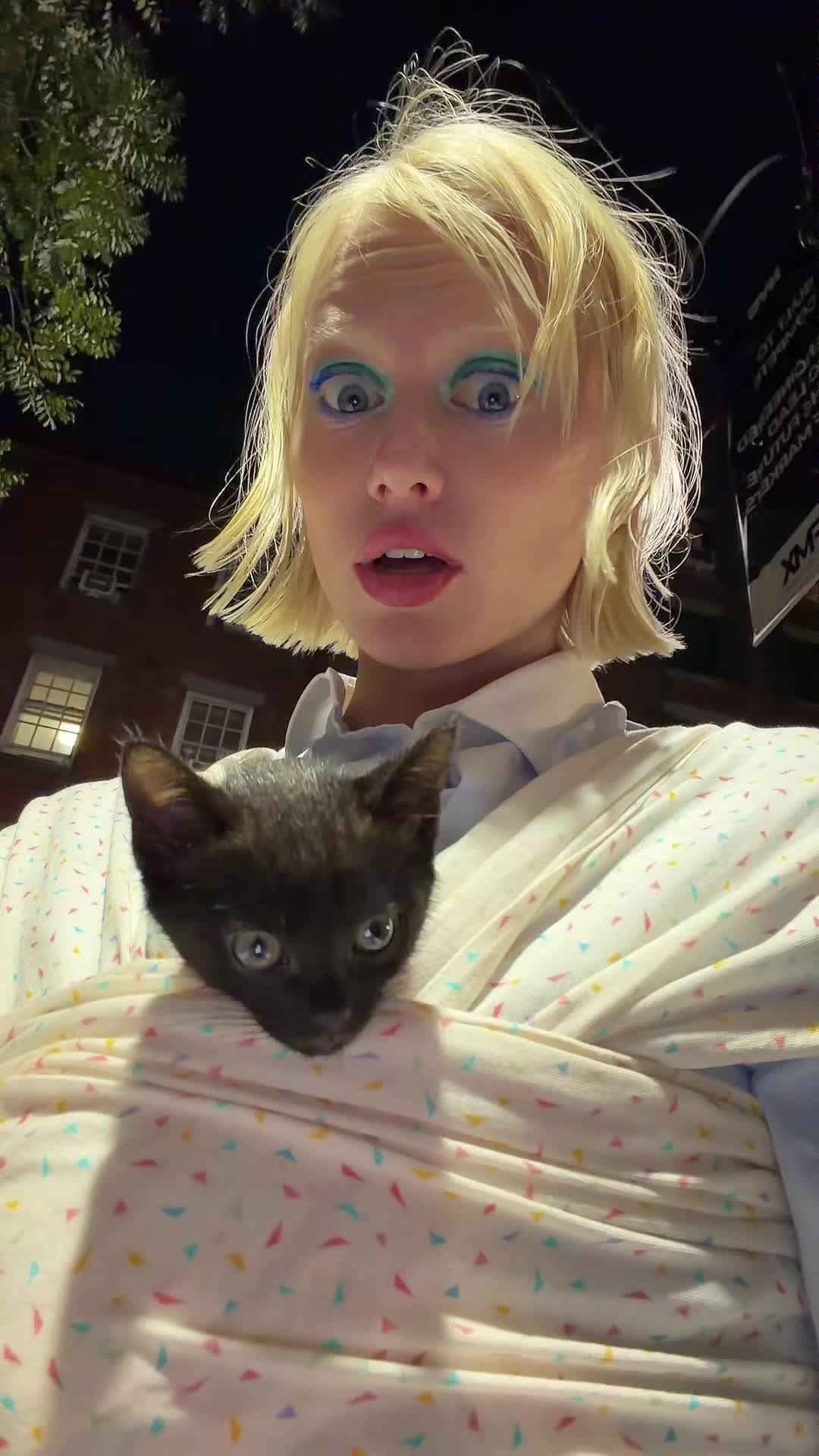 @KITTY