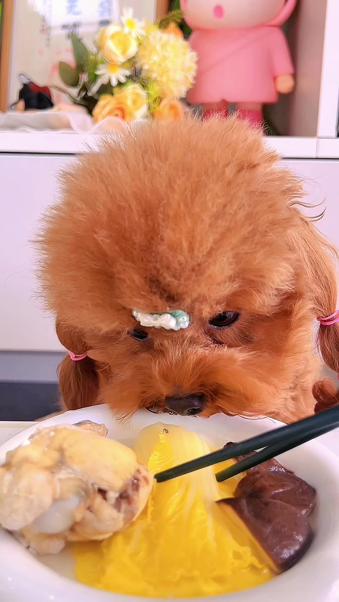 @dog eat