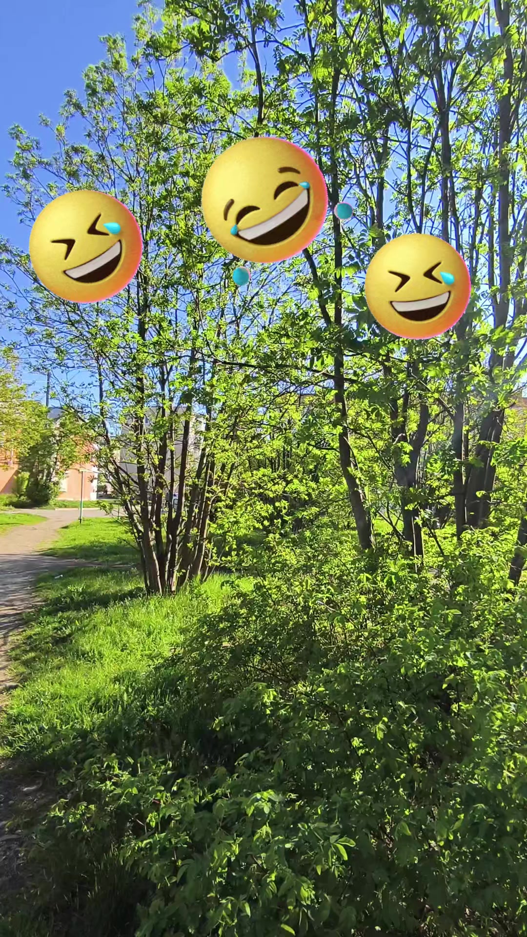 @꧁♕︎ℕ𝕒𝕥𝕒𝕝𝕚♕︎꧂