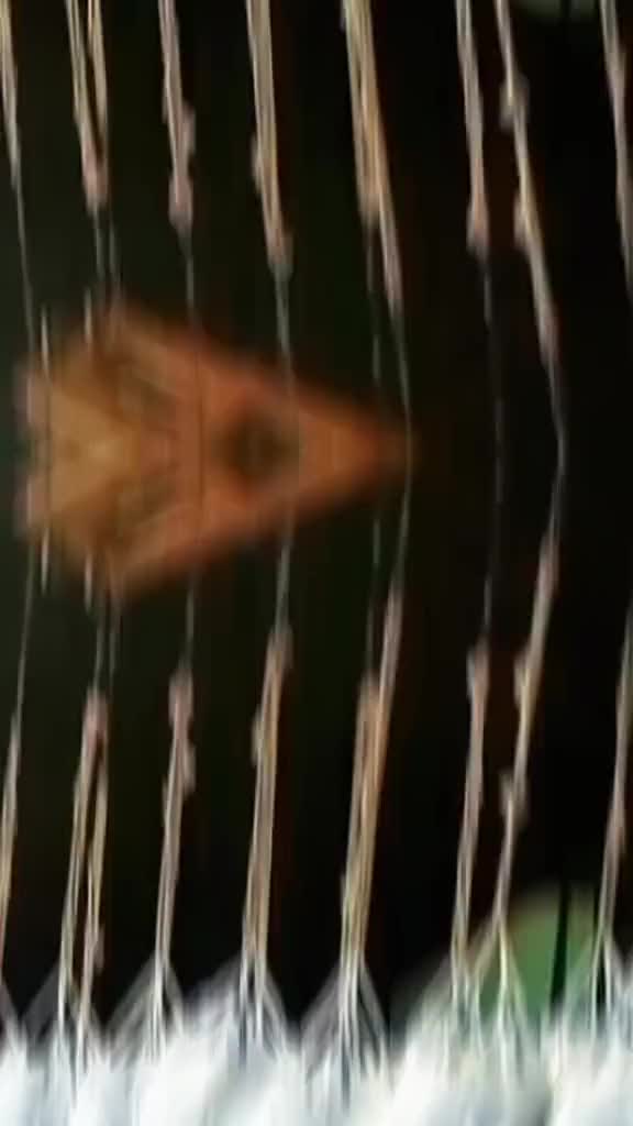 @Nggi21