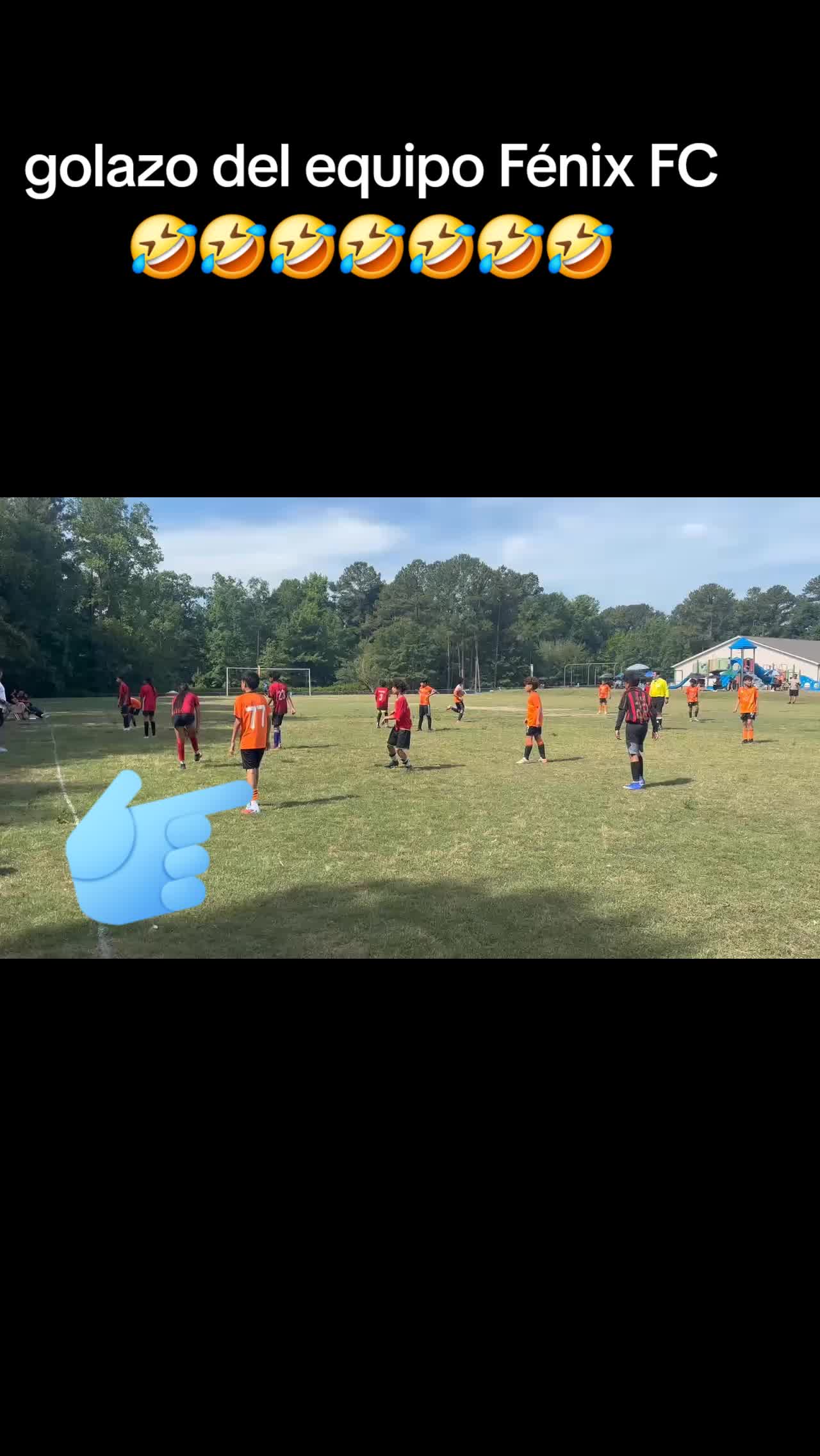 @Fénix FC