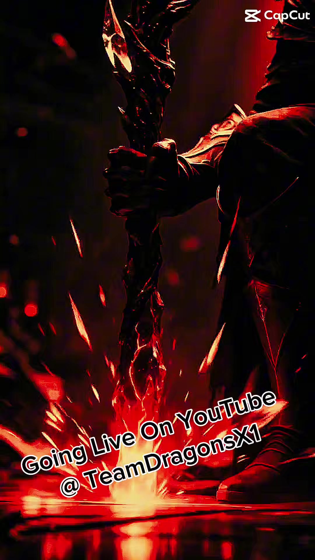 @teamdragonsx1s