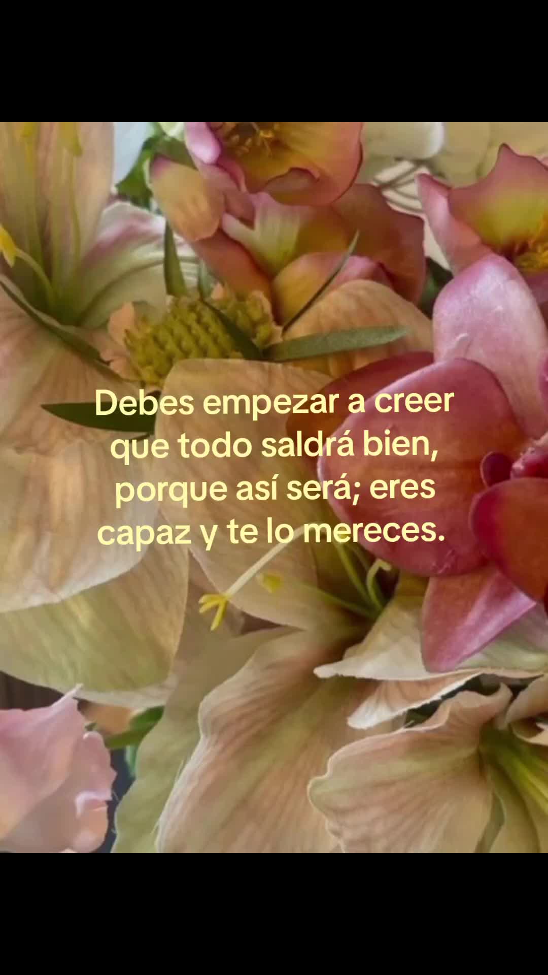 @°Lymar⁷°