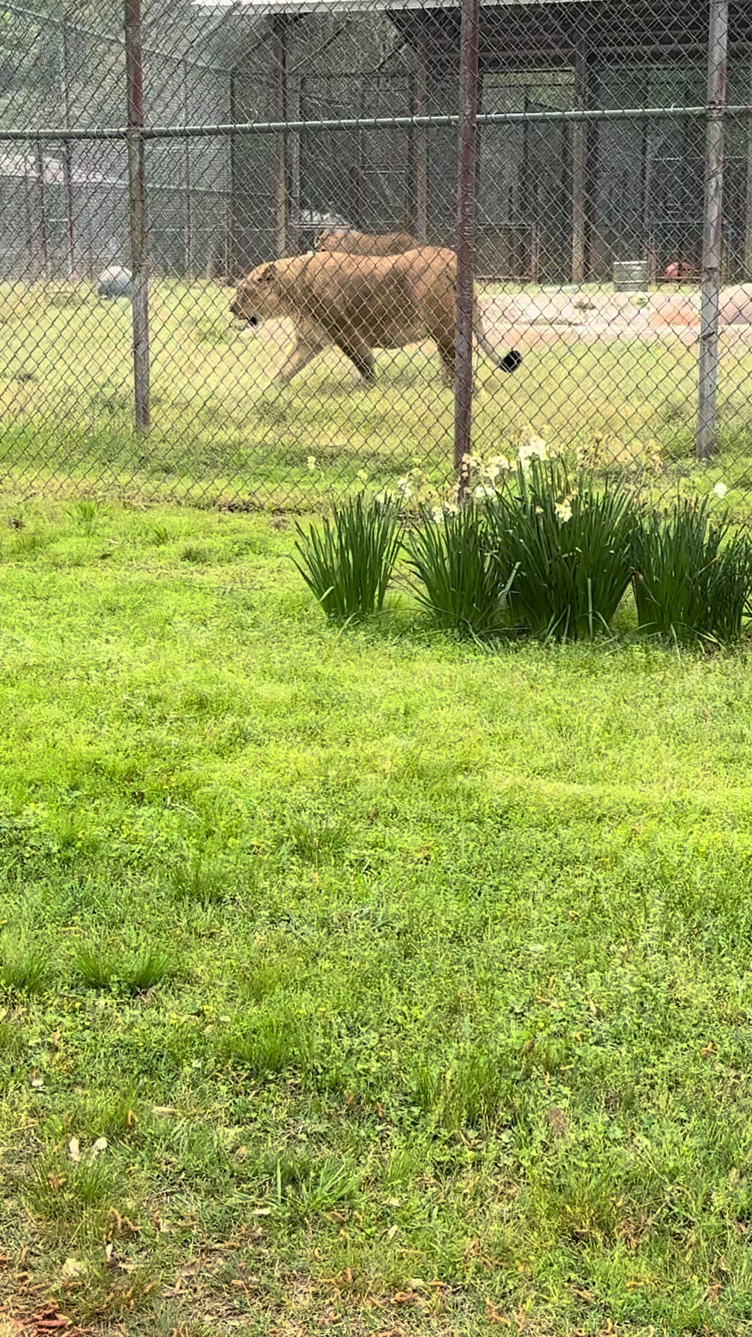 @Cedarhill Animal Sanctuary