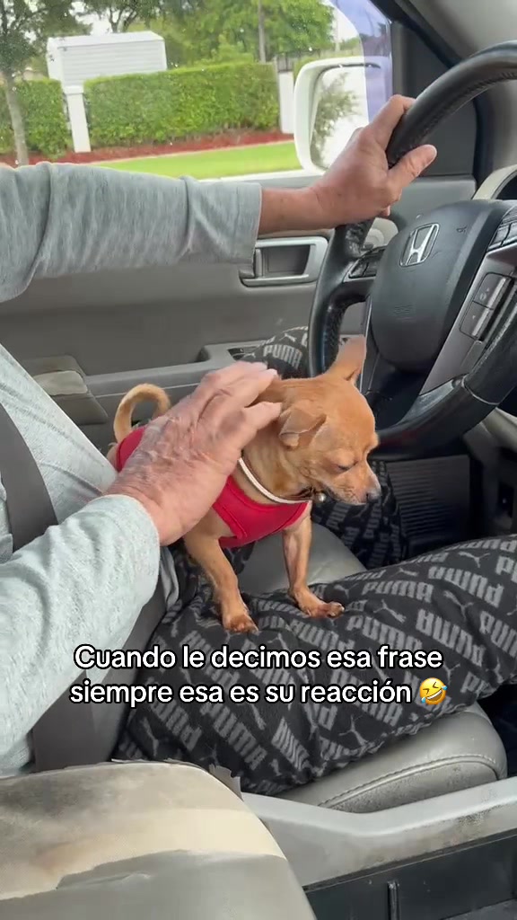 @Gloria Hernandez