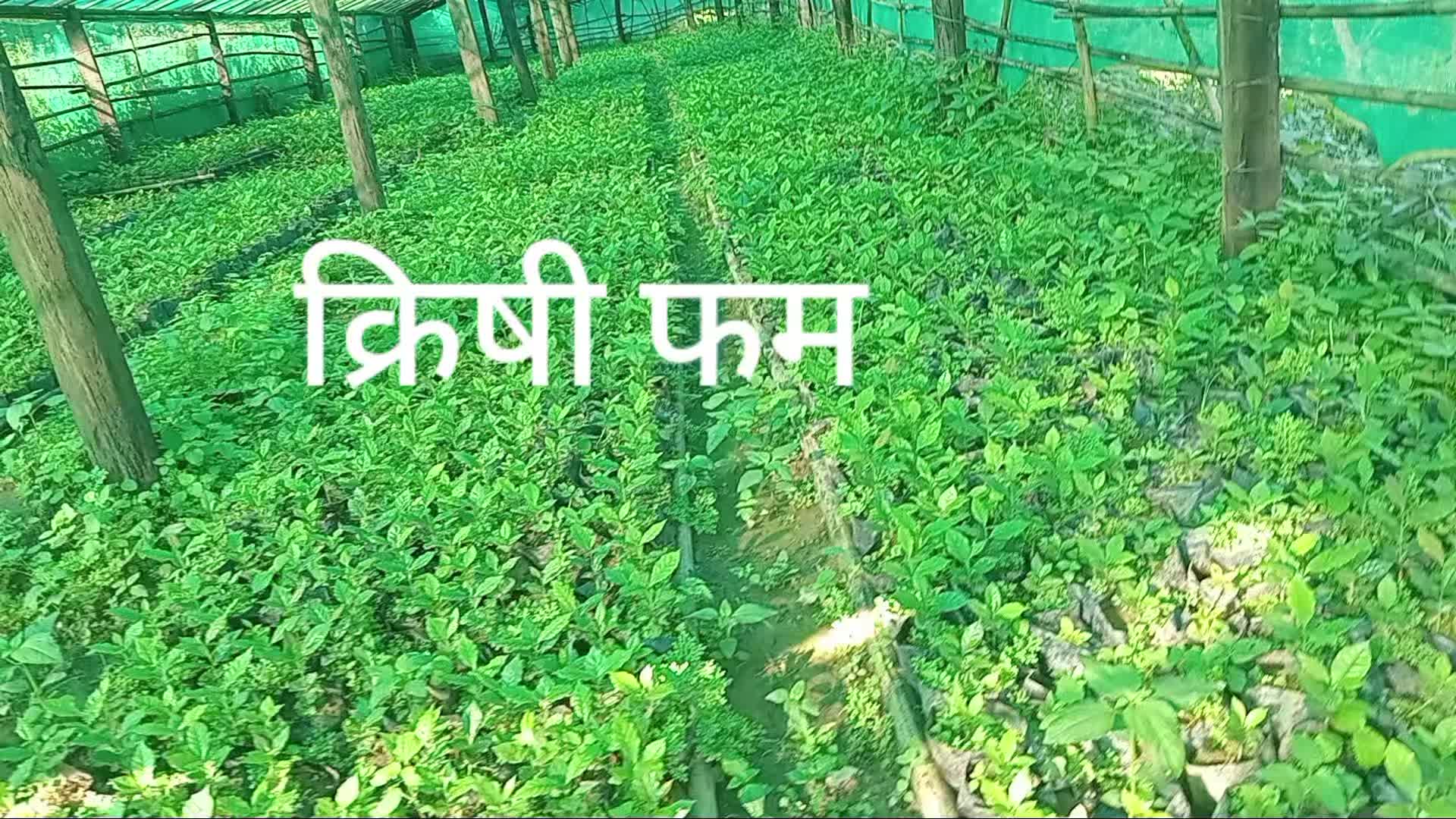 @@Bijai Thapa