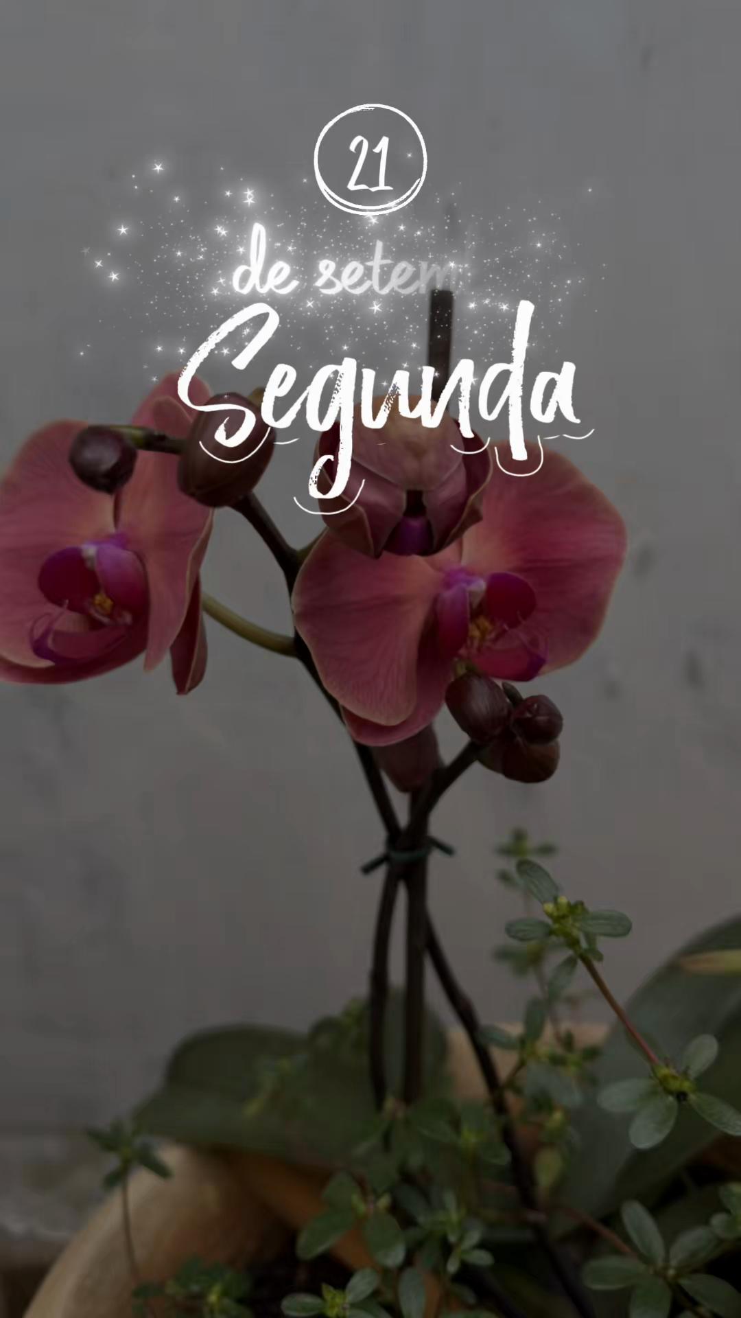 @Adinameris Fernandes