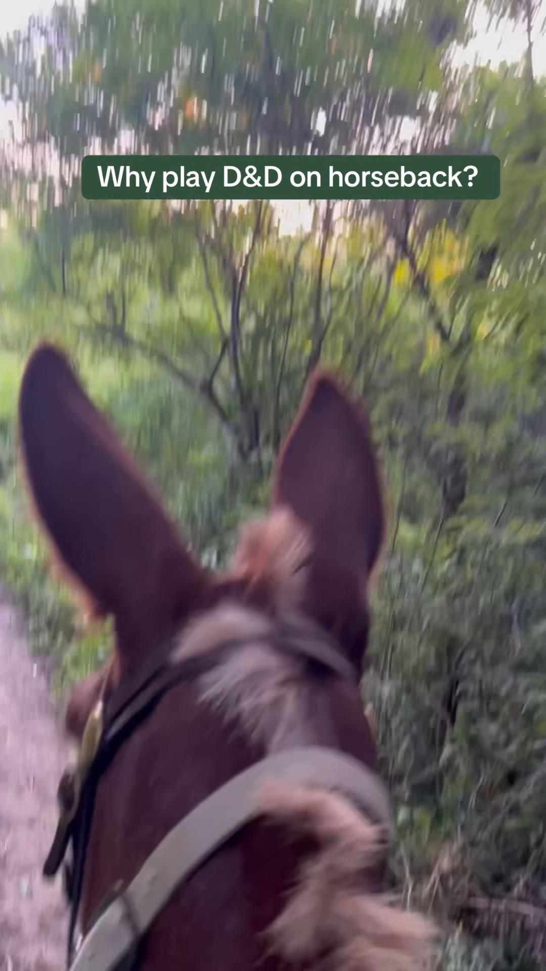 @SaddleSnaps