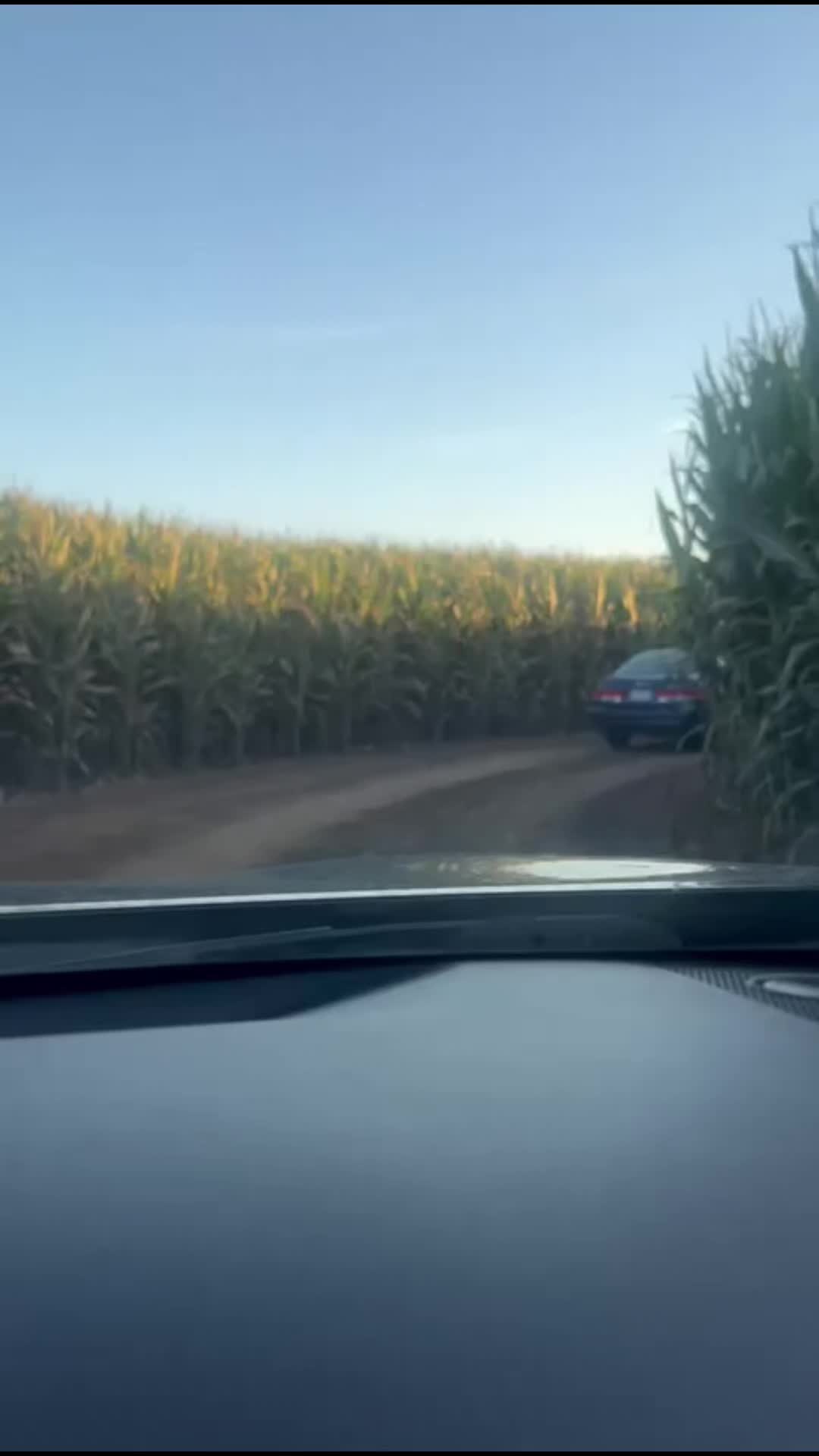 @tinodelcastillomaya