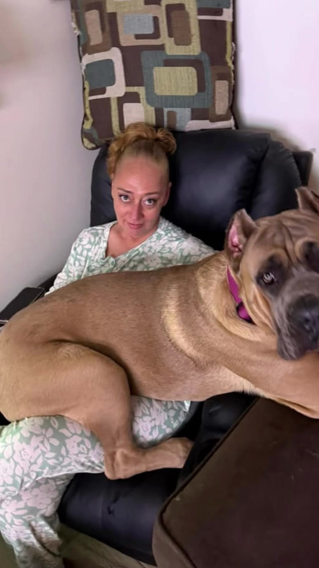 @AandMCaneCorsos
