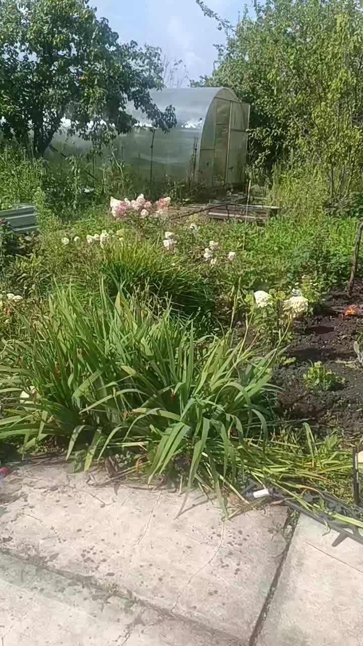 @Роман