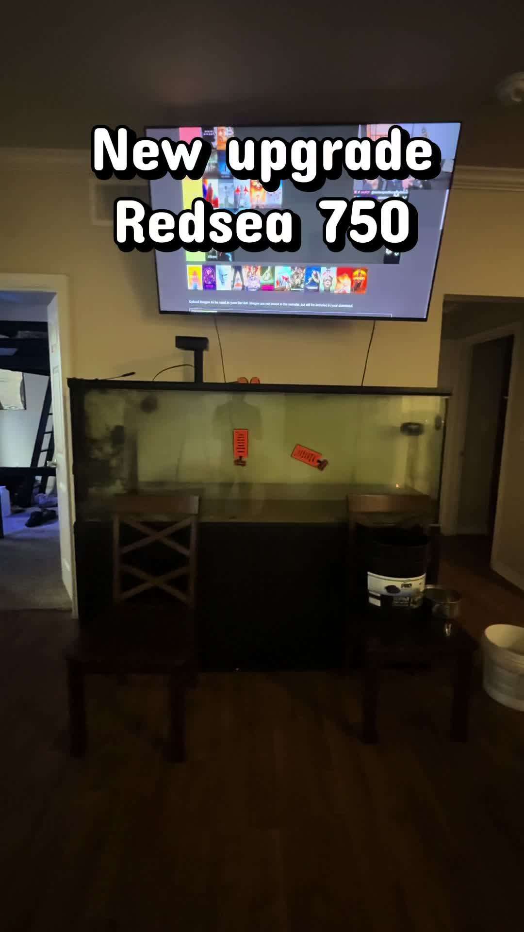 @sohaltangreef