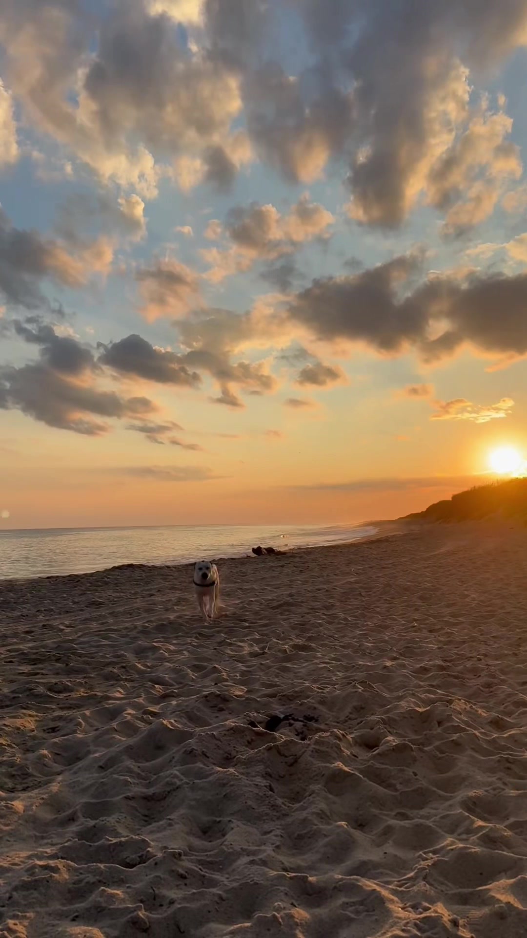 @Morgan | Nantucket Realtor