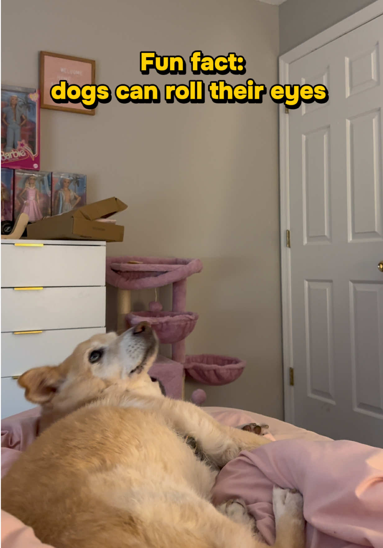 @Michelle