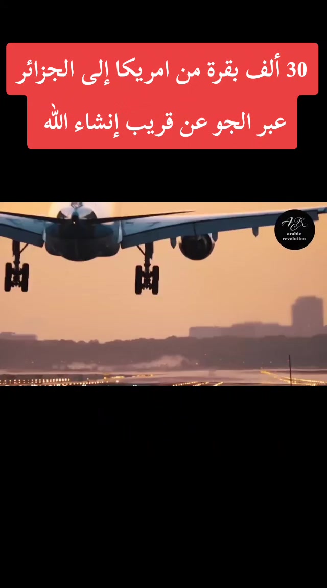 @Hayetam Hayetam