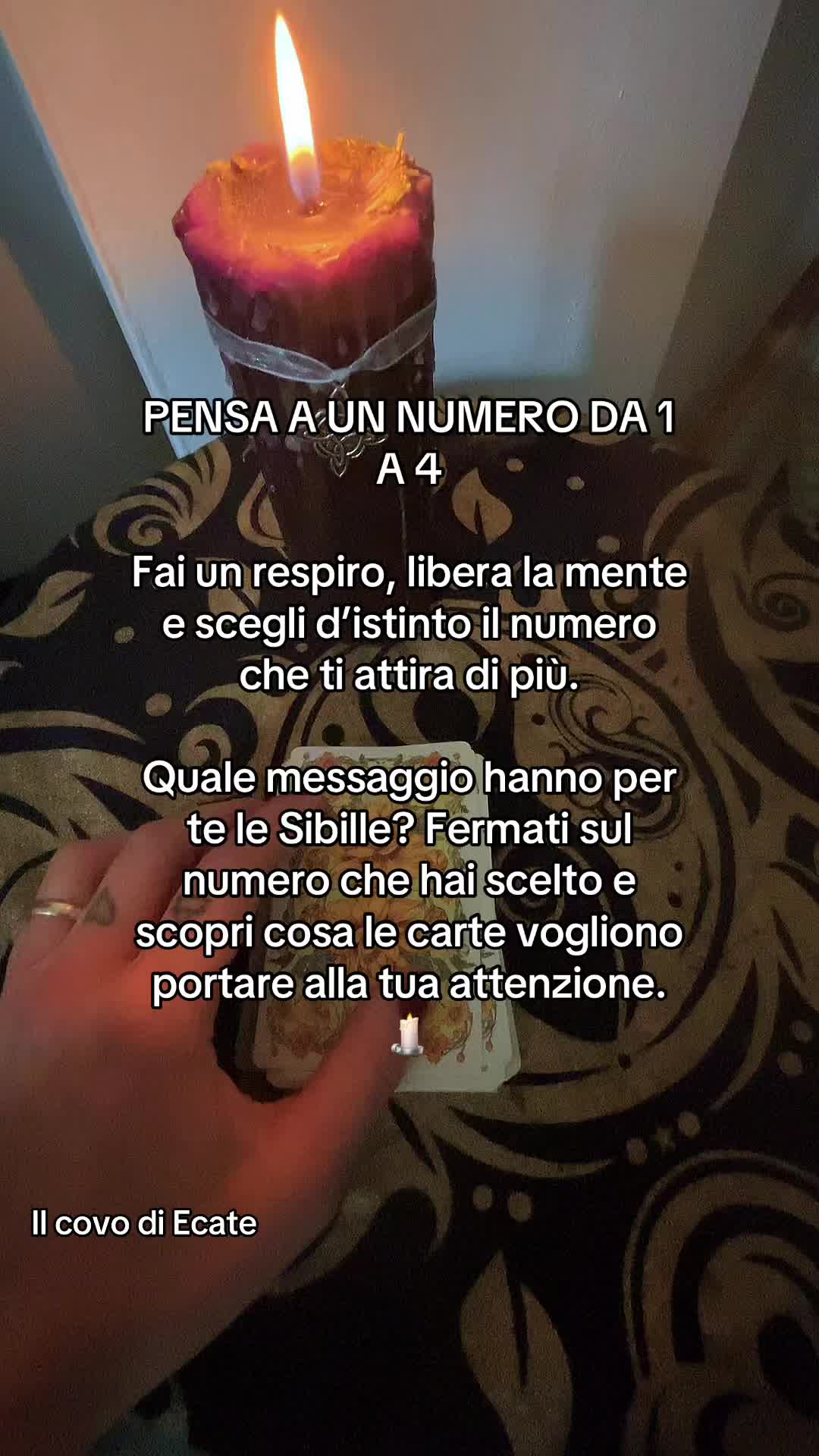 @Laura Ecate