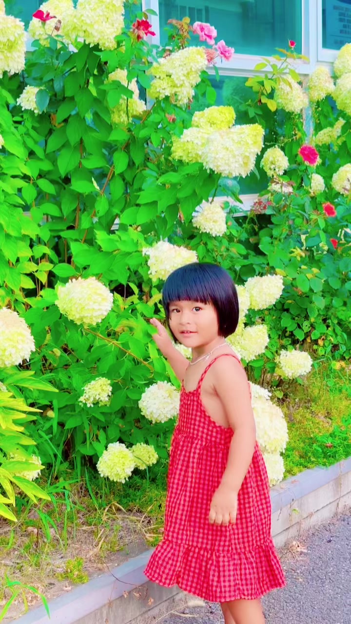 @Prabha shrestha