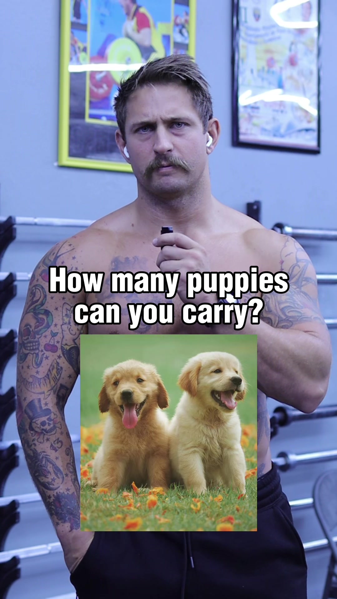 @Tylersteff