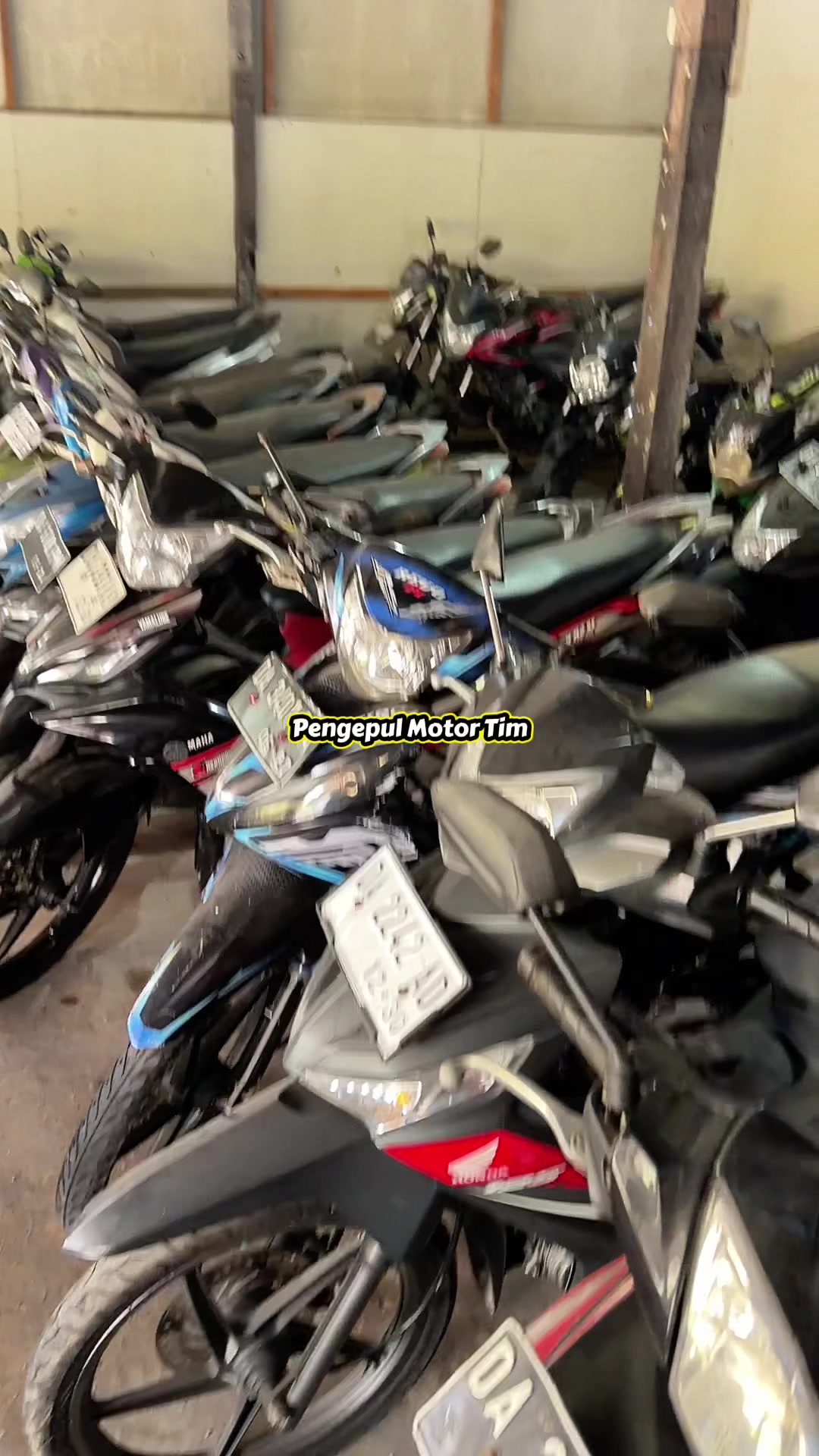 @pengepulmotortim
