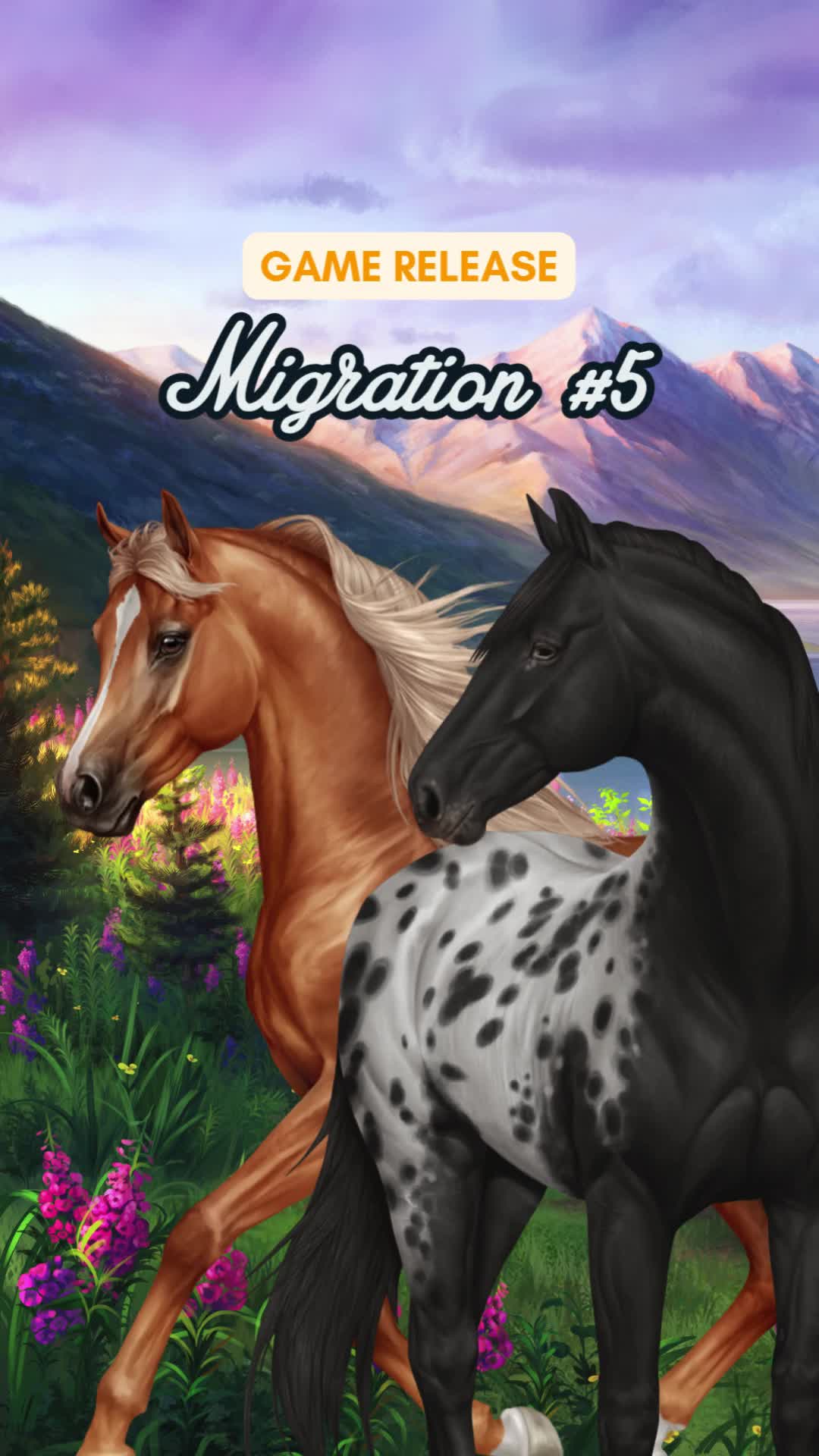 @Horse Reality
