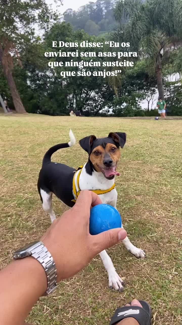 @Josué Ferreira