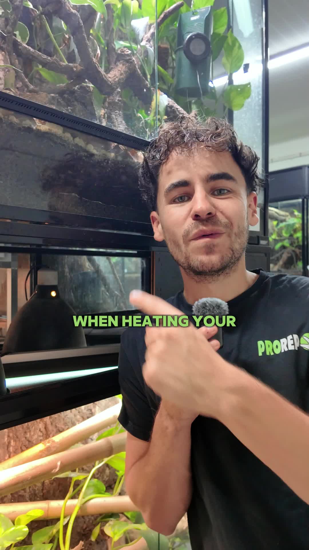 @prorep_reptile
