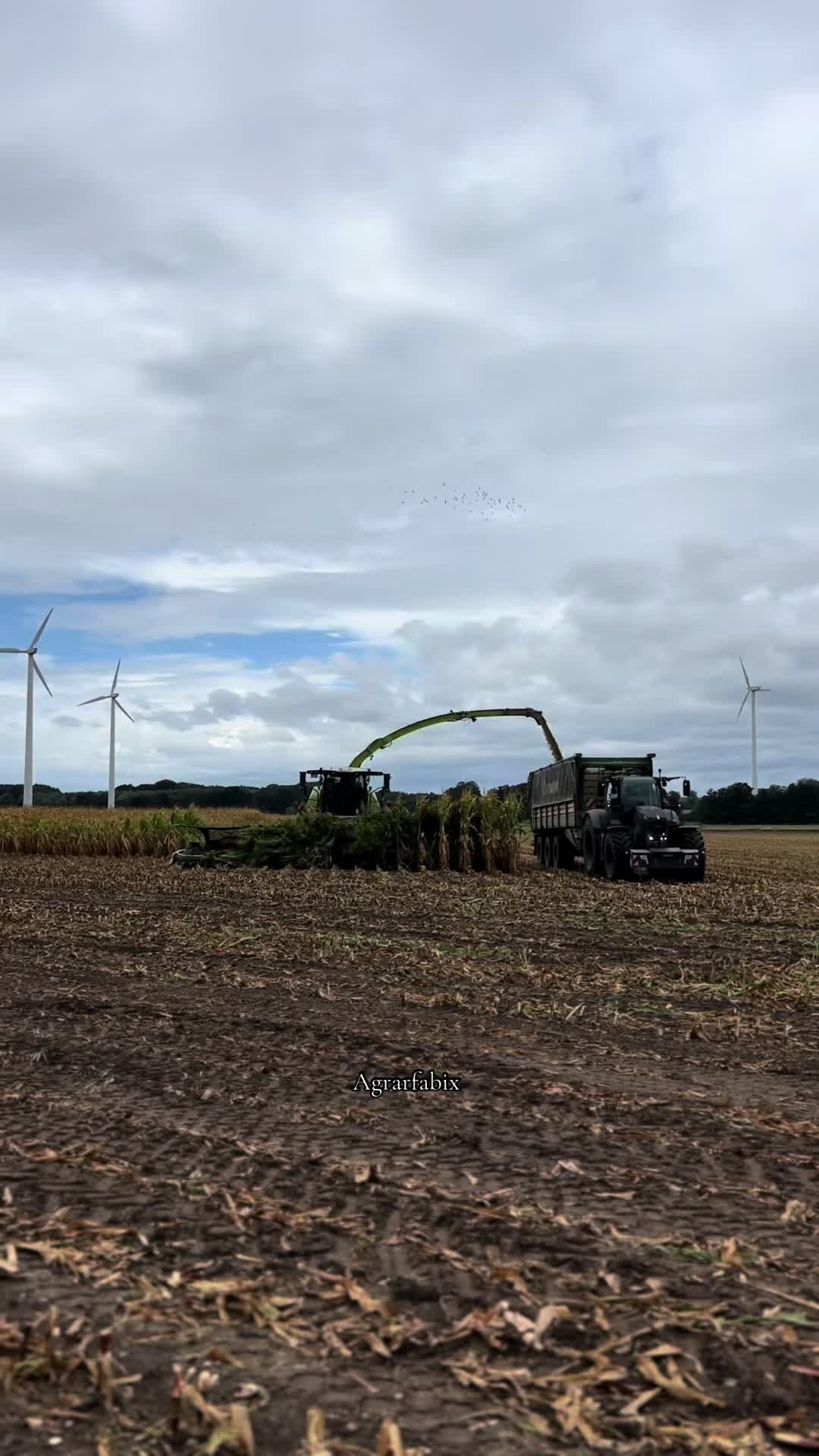 @︎︎︎︎Agrarfabix🌾🚜