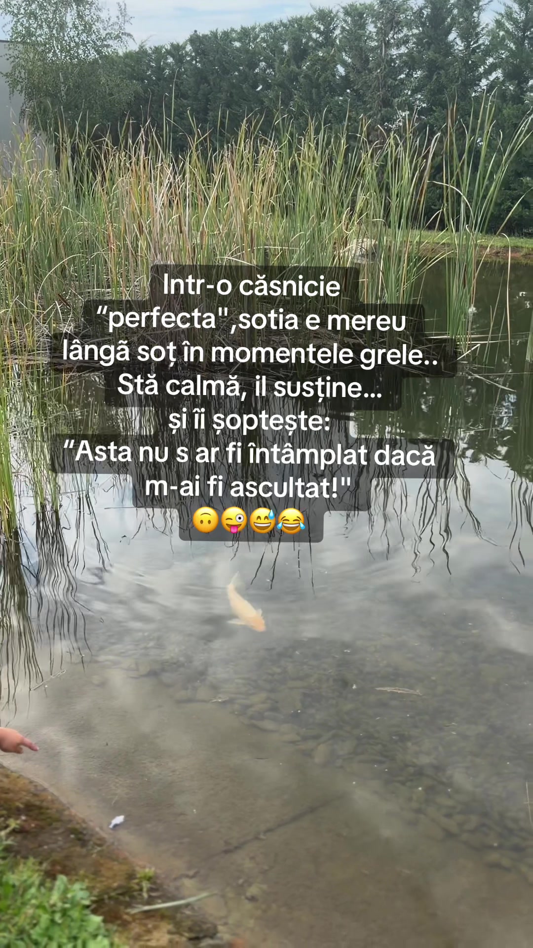 @Alina Elena Ion