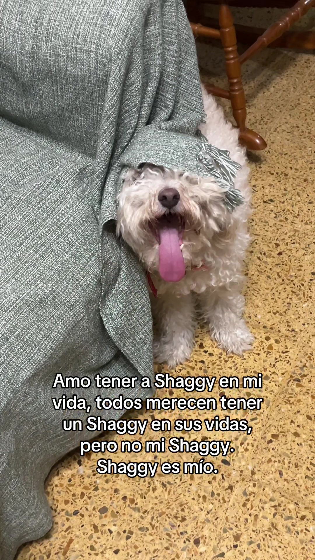 @avistepann