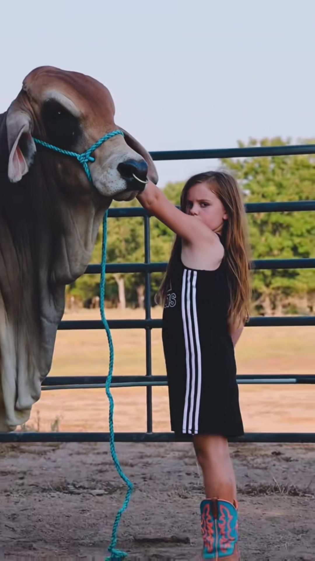@The V6 Ranch