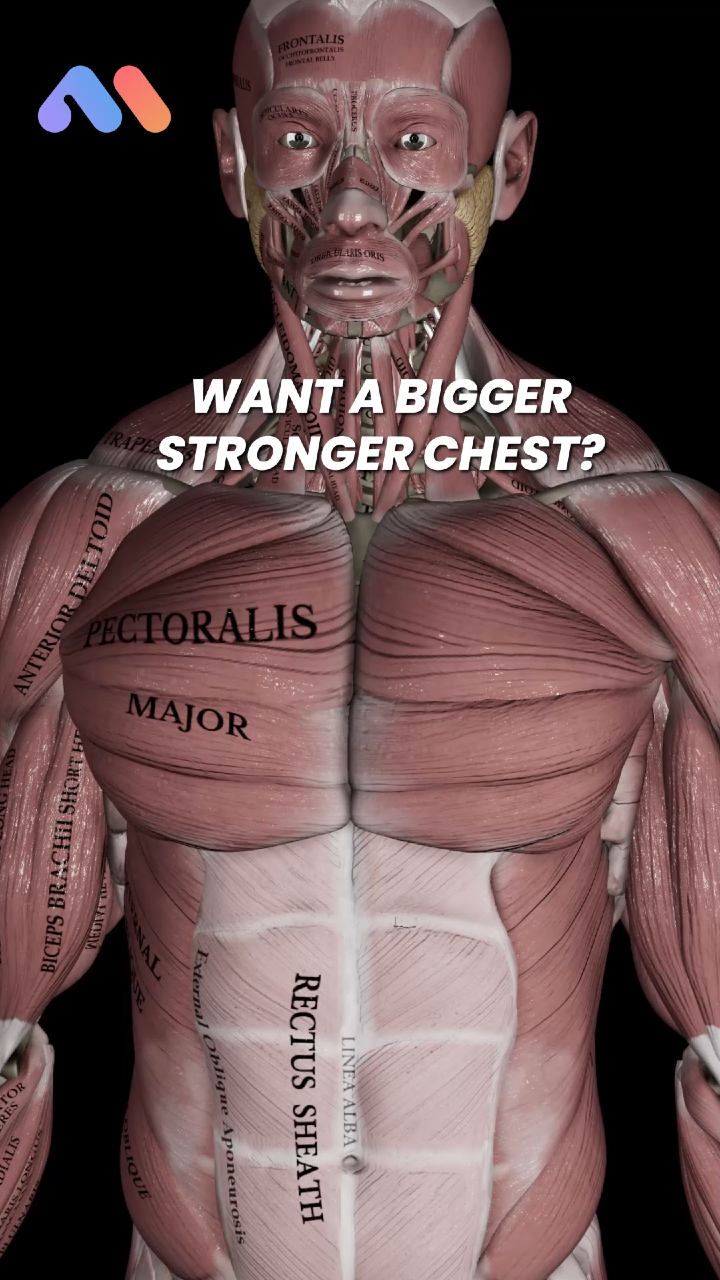 @Muscle & Motion
