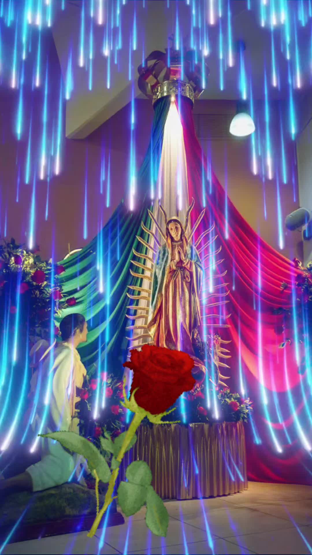 @viva la virgen de guadalupe 😍