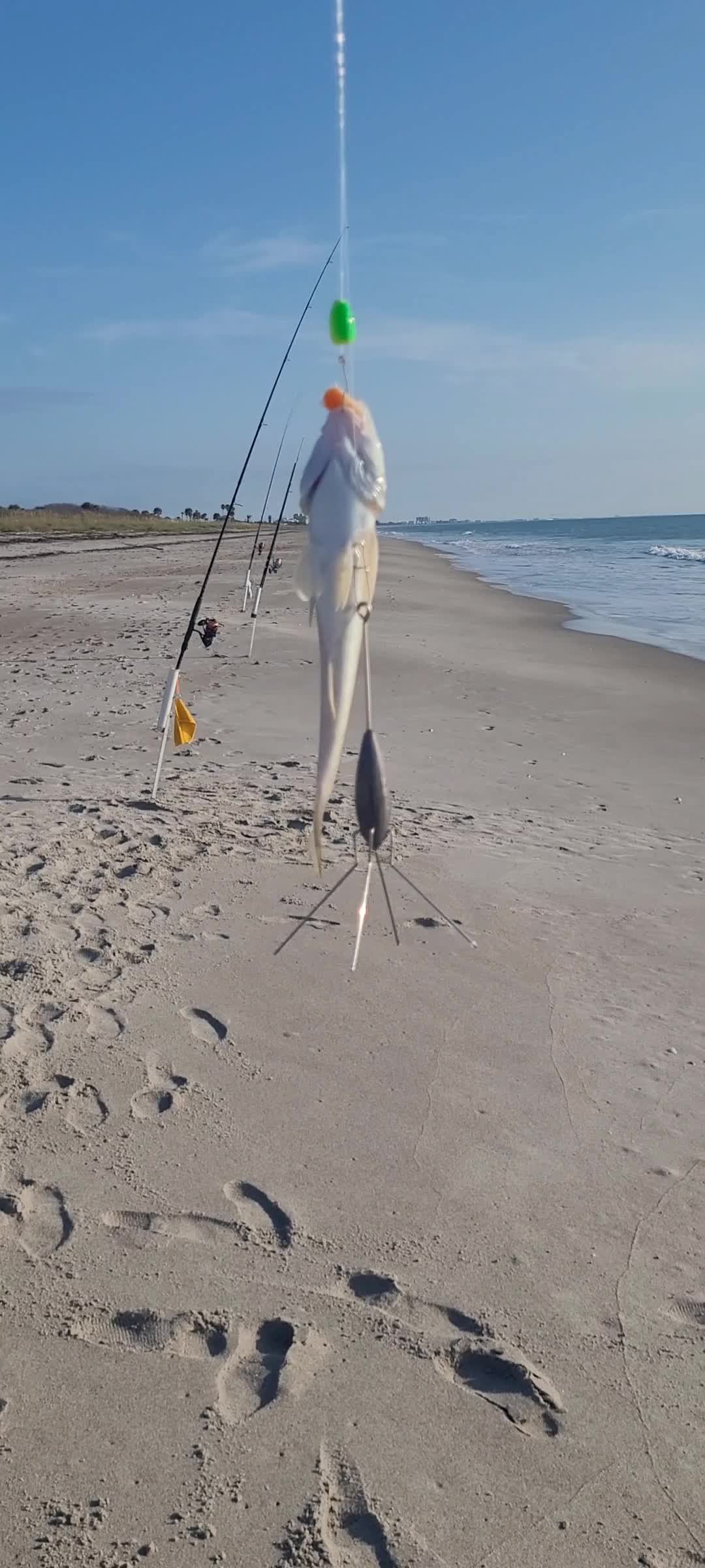 @Ghost of Space Coast Fishing