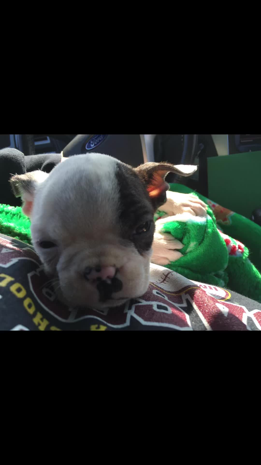 @That_Boston_Apollo
