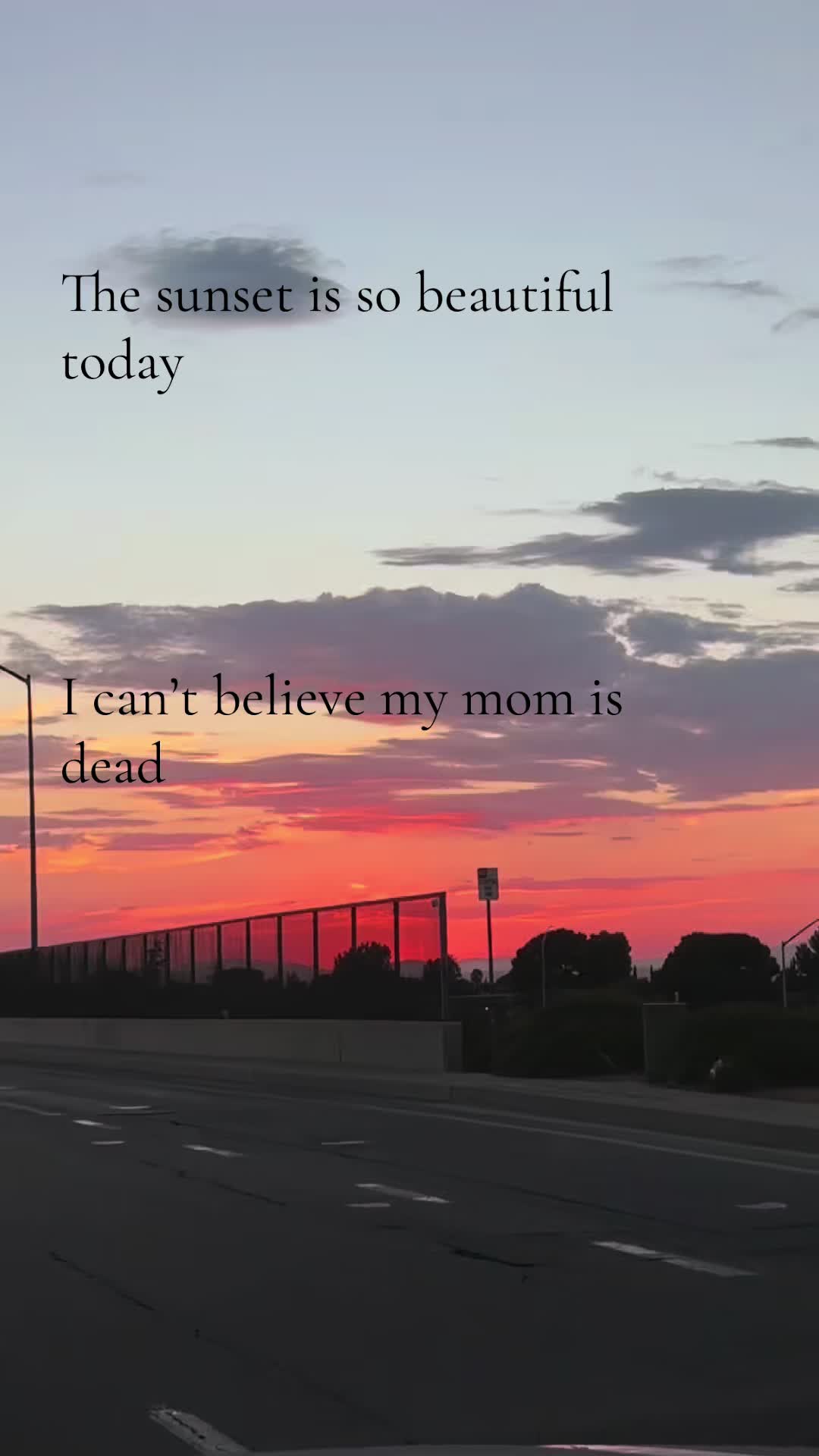 @๐ป๐๐๐๐ • ๐น๐๐ข๐๐