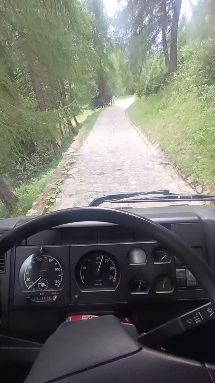 @il carrista di tik tok