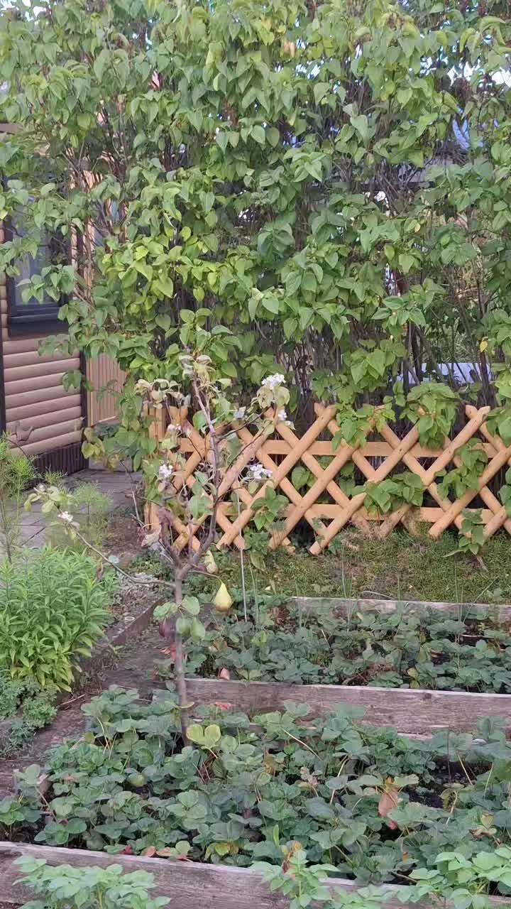@Natur und Garten