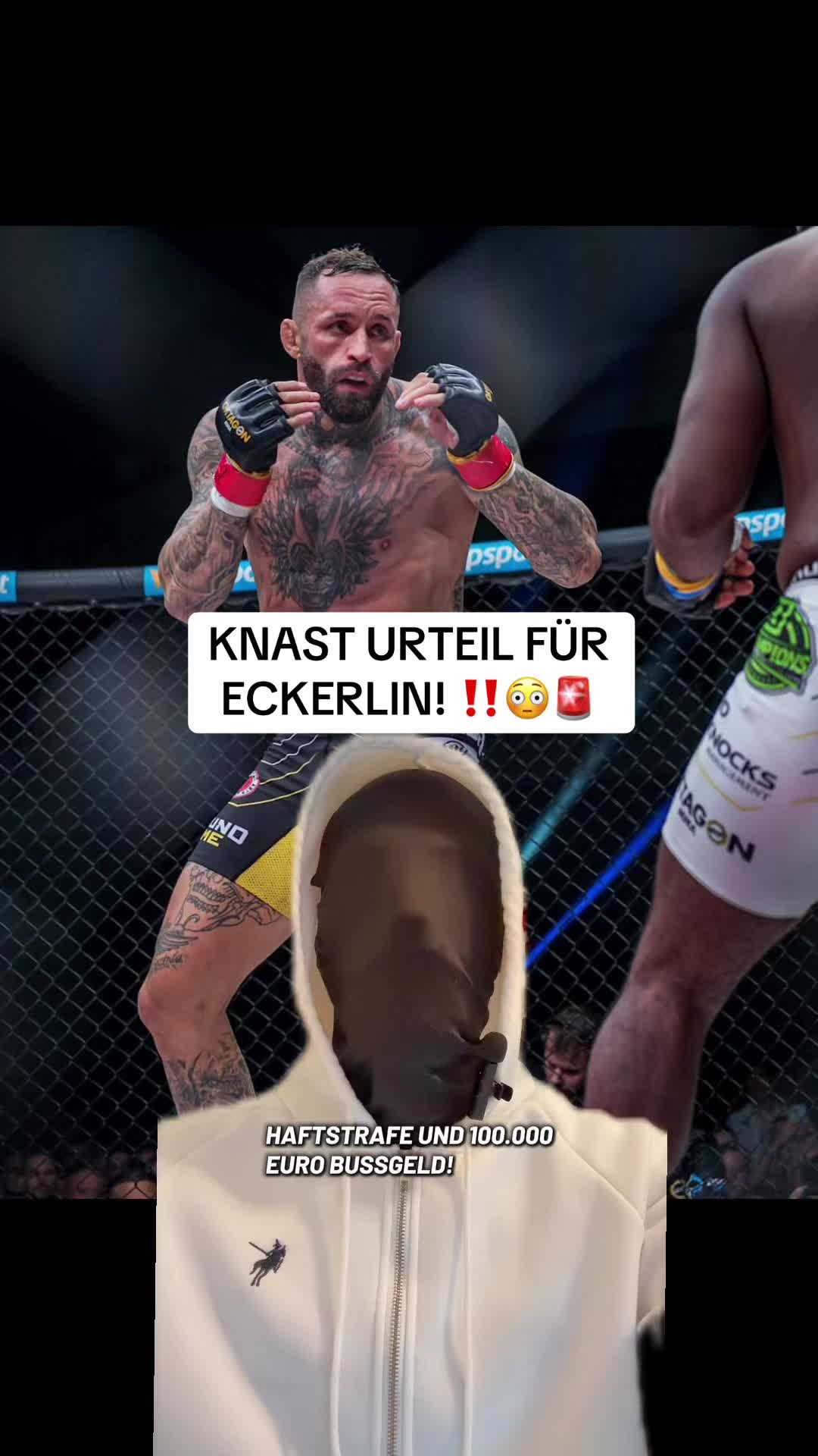 @Fight News DE