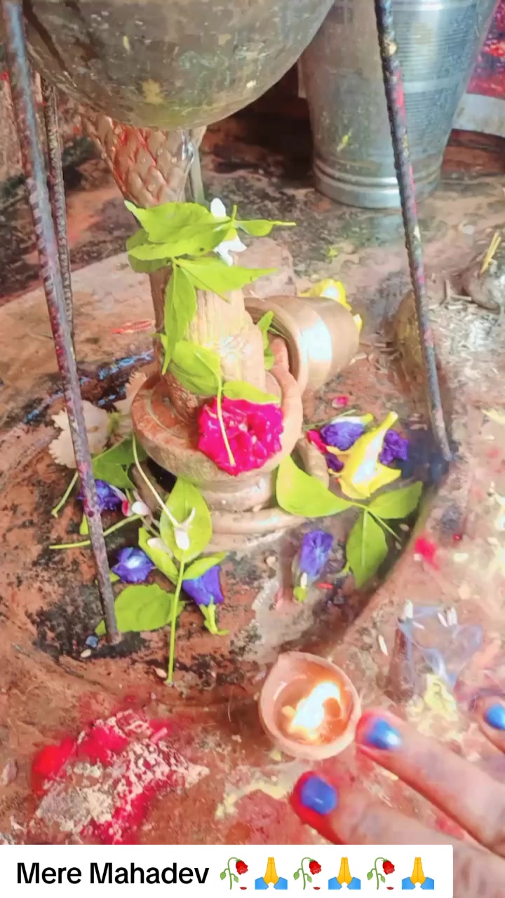 @SharbanSunitaRoyYadav861🤞❣