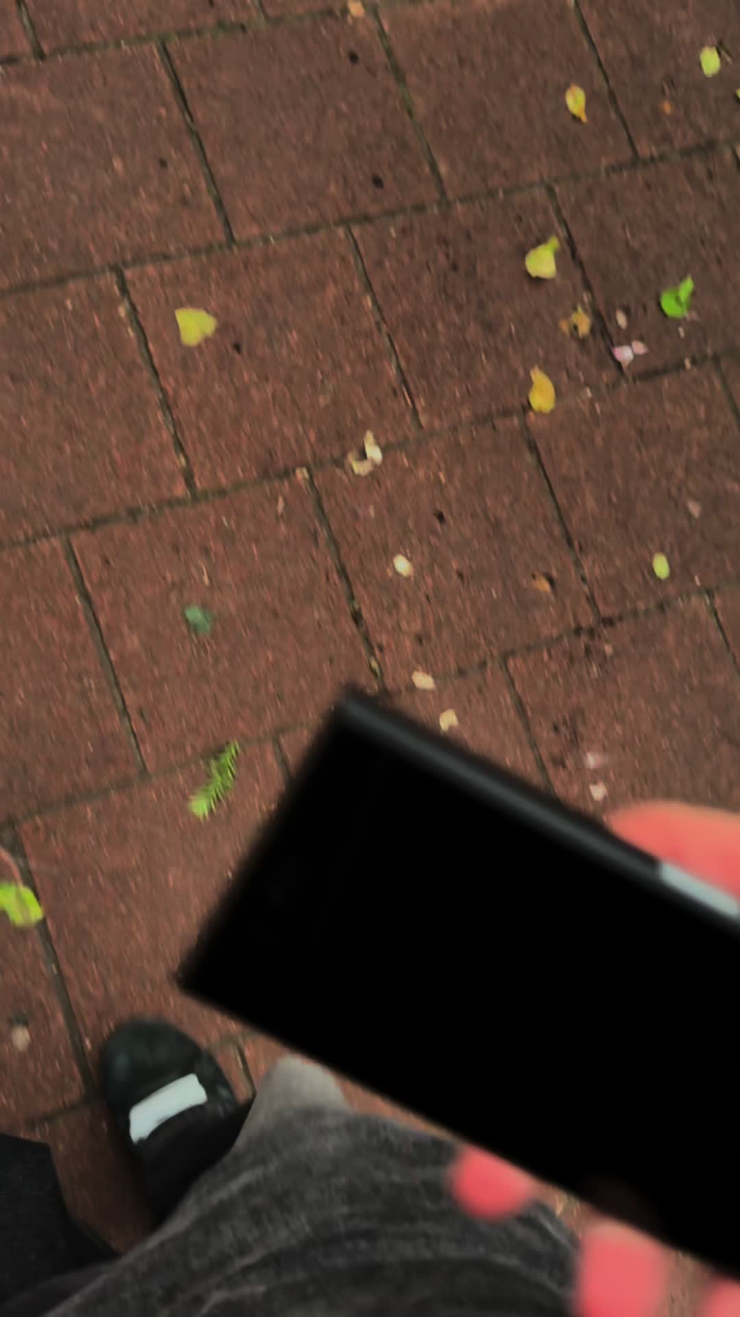 @Fl8sh